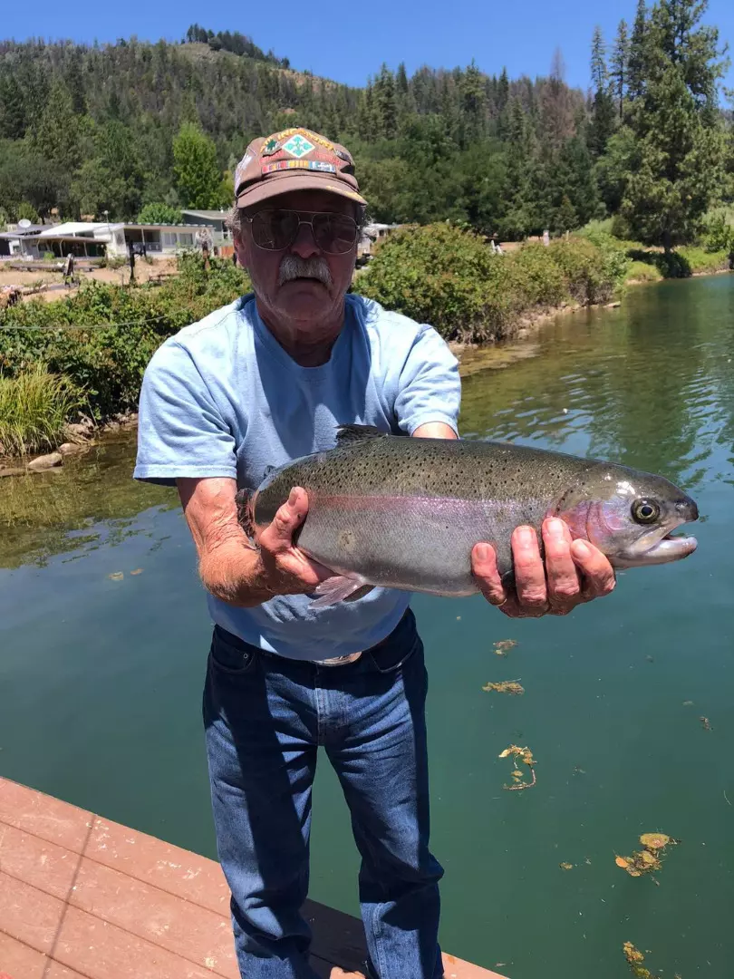Lewiston Lake Fishing: Why the Trout Fishing Here Is Worth the Trip